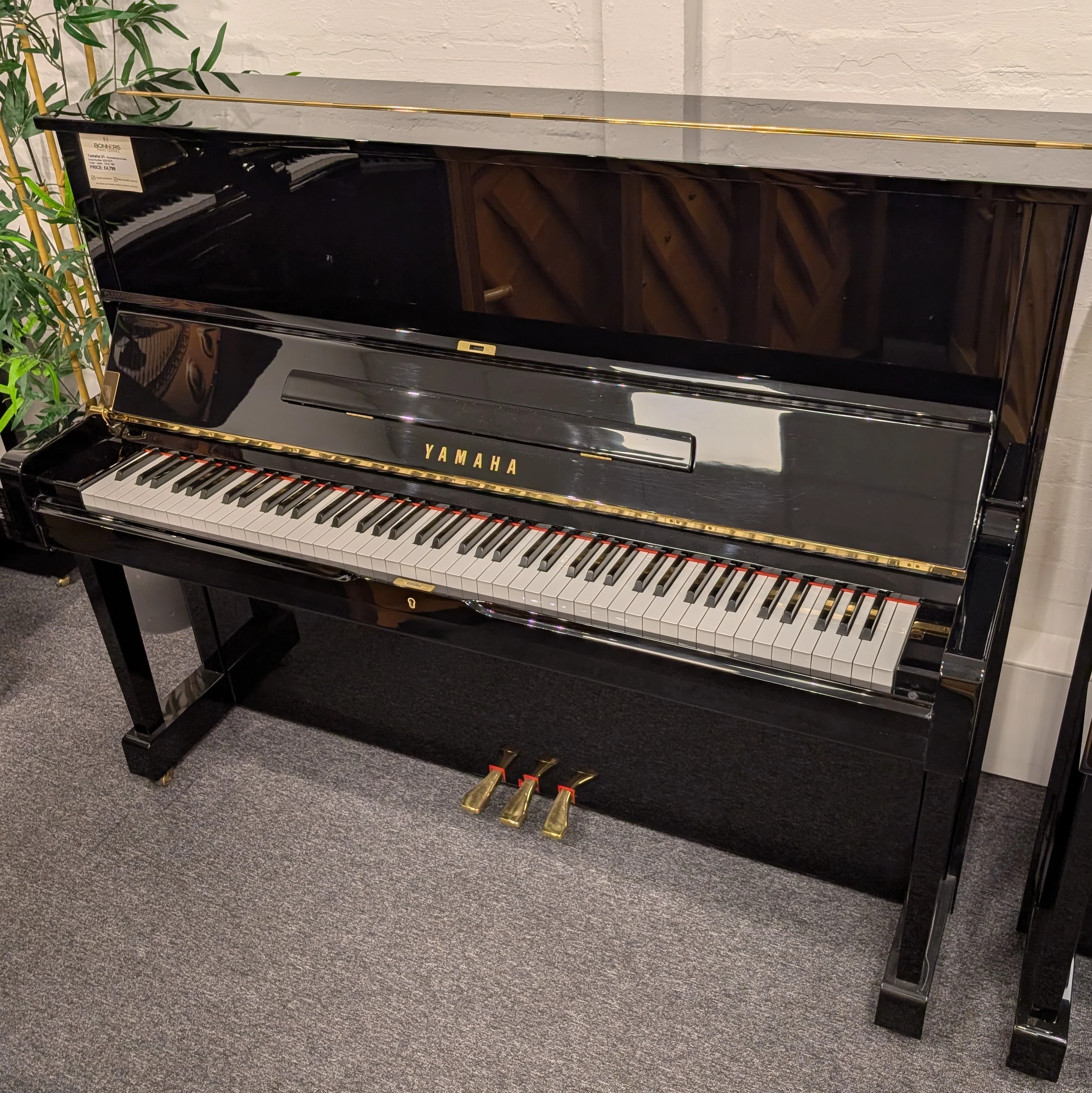 Thumbnail 1